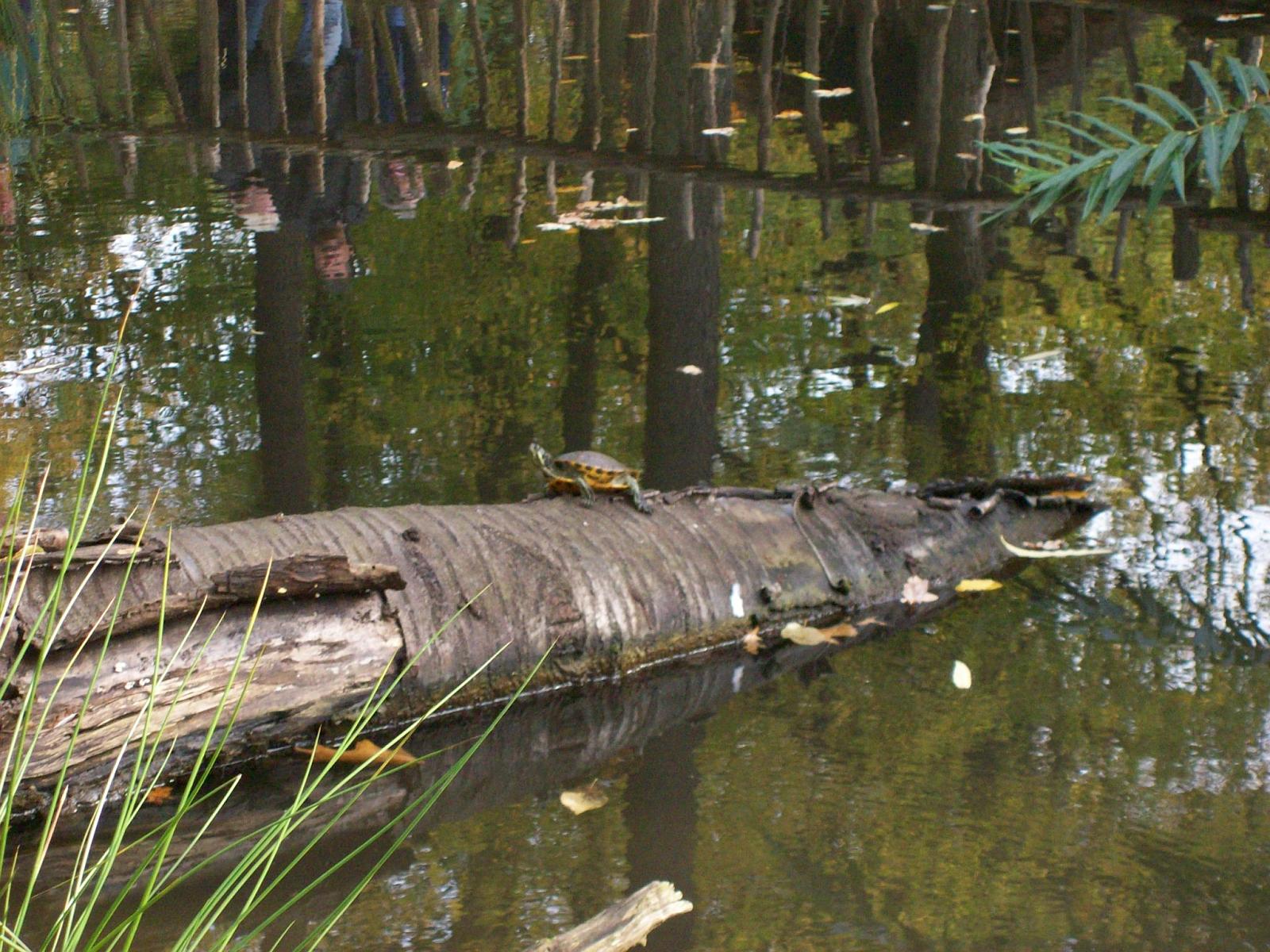 Zoom 18.10.2008-016.jpg